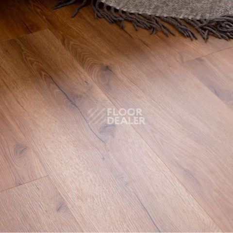 Vinilpol Glue 2мм 8833 EIR ДУБ САН-РЕМО фото 7 | FLOORDEALER