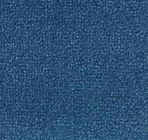 Ковролин Creatuft Sheba 1599 Navy Blue 5m фото 1 | FLOORDEALER