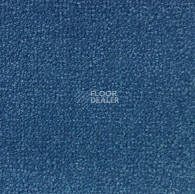 Ковролин Creatuft Sheba 1599 Navy Blue 5m фото 1 | FLOORDEALER