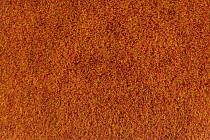 Flotex Colour Calgary 50*50 t 590024 Calgary Fire фото 2 | FLOORDEALER