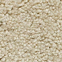 Ковролин Girloon Body1 841 фото 1 | FLOORDEALER