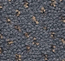 Ковролин Infloor Como 560 фото 1 | FLOORDEALER