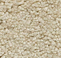 Ковролин Girloon Body1 841 фото 1 | FLOORDEALER