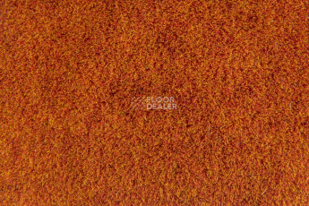 Flotex Colour Calgary 50*50 t 590024 Calgary Fire фото 2 | FLOORDEALER
