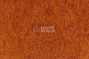 Forbo Flotex Colour Calgary 50*50 t 590024 Calgary Fire фото 2 | FLOORDEALER