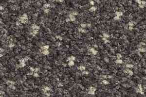 Ковролин Balsan Capitol Capitol 770 фото  | FLOORDEALER