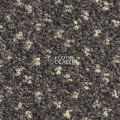 Ковролин Balsan Capitol Capitol 770 фото 1 | FLOORDEALER