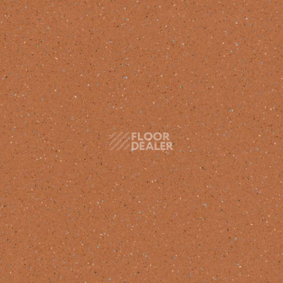 Линолеум Tarkett Zenit 709 фото 1 | FLOORDEALER