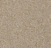 Ковролин Vorwerk Passion 1044 Vorwerk 8j41 фото 1 | FLOORDEALER