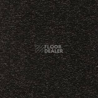 Ковролин AW Tresor 97 фото 1 | FLOORDEALER