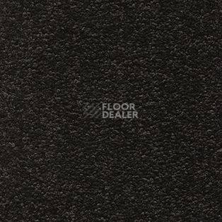 Ковролин AW Tresor 97 фото 1 | FLOORDEALER