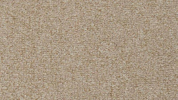 Ковролин Vorwerk Passion 1044 Vorwerk 8j41 фото 1 | FLOORDEALER