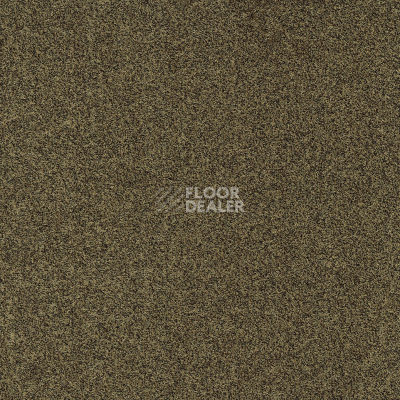 Ковровая плитка Modulyss Gleam Gleam 212 фото 1 | FLOORDEALER