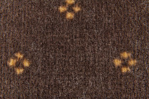 Haima Chic 04 фото 3 | FLOORDEALER