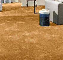 Vorwerk Superior 1064/Lyrica Vorwerk 2f33 фото 2 | FLOORDEALER