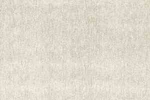 Ковролин Balta Velvet 71351-067 фото  | FLOORDEALER