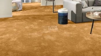 Vorwerk Superior 1064/Lyrica Vorwerk 2f33 фото 2 | FLOORDEALER