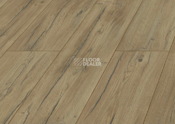 Ламинат Kronopol Aurum Volo Aqua Zero d40254 Дуб Condor фото 1 | FLOORDEALER