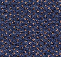 Ковролин Condor Carpets Argus 419 фото 1 | FLOORDEALER