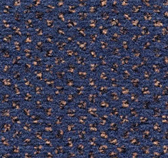 Ковролин Condor Carpets Argus 419 фото 1 | FLOORDEALER