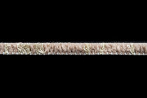 Innova Галактика Бежевый Контраст фото 4 | FLOORDEALER