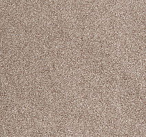 Ковролин ITC Evolve Evolve 38 фото 1 | FLOORDEALER