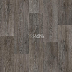 Линолеум Tarkett Premium BRENT 2 фото 1 | FLOORDEALER