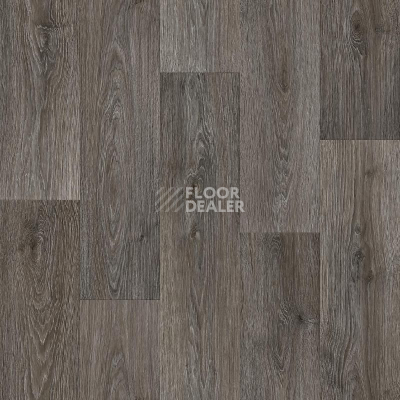Линолеум Tarkett Premium BRENT 2 фото 1 | FLOORDEALER