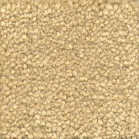 Emphatic Beaulieu of America 56115 фото 1 | FLOORDEALER