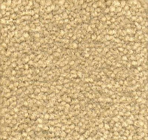 Ковролин Emphatic Beaulieu of America 56115 фото 1 | FLOORDEALER