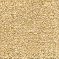 Ковролин Emphatic Beaulieu of America 56115 фото 1 | FLOORDEALER