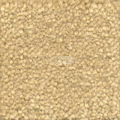 Ковролин Emphatic Beaulieu of America 56115 фото 1 | FLOORDEALER