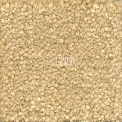 Ковролин Emphatic Beaulieu of America 56115 фото 1 | FLOORDEALER