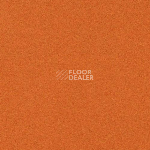 Ковролин Flotex Artline 211003 фото 1 | FLOORDEALER