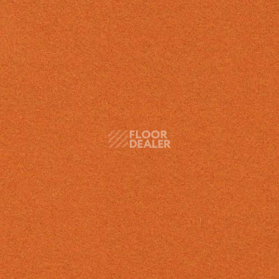 Ковролин Flotex Artline 211003 фото 1 | FLOORDEALER
