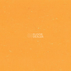 Линолеум Colorette 0171 Sunrise Orange фото 1 | FLOORDEALER