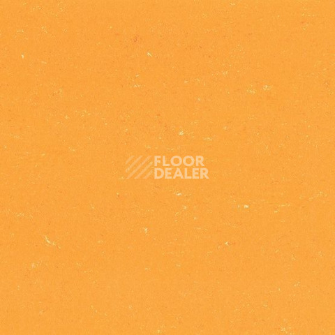 Линолеум Gerflor Colorette 0171 Sunrise Orange фото 1 | FLOORDEALER