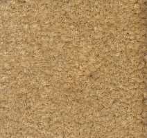 Ковролин Emphatic Beaulieu of America 56156 фото 1 | FLOORDEALER