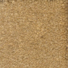 Ковролин Emphatic Beaulieu of America 56156 фото 1 | FLOORDEALER