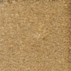 Emphatic Beaulieu of America 56156 фото 1 | FLOORDEALER