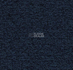 Грязезащитные покрытия Forbo Coral Classic 4737 Prussian Blue фото 1 | FLOORDEALER