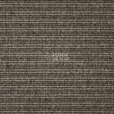 Ковролин Carpet Concept Eco Wool 596055 фото 1 | FLOORDEALER
