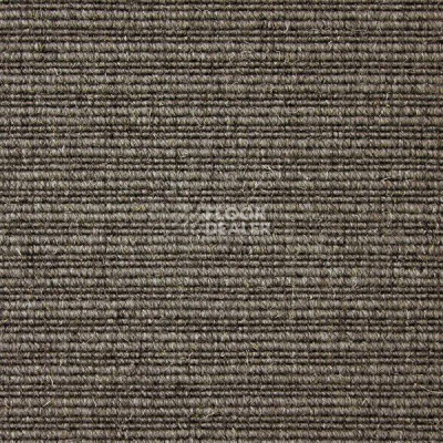 Ковролин Carpet Concept Eco Wool 596055 фото 1 | FLOORDEALER