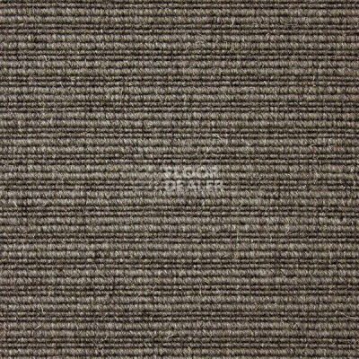 Ковролин Carpet Concept Eco Wool 596055 фото 1 | FLOORDEALER