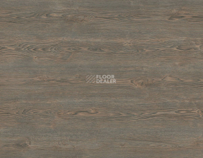 Kronotex Exquisit Plus d40532 Дуб Рубин Платиновый фото 3 | FLOORDEALER