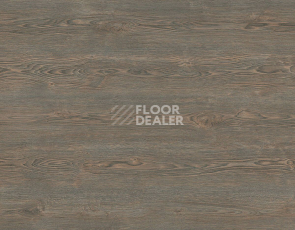 Kronotex Exquisit Plus d40532 Дуб Рубин Платиновый фото 3 | FLOORDEALER