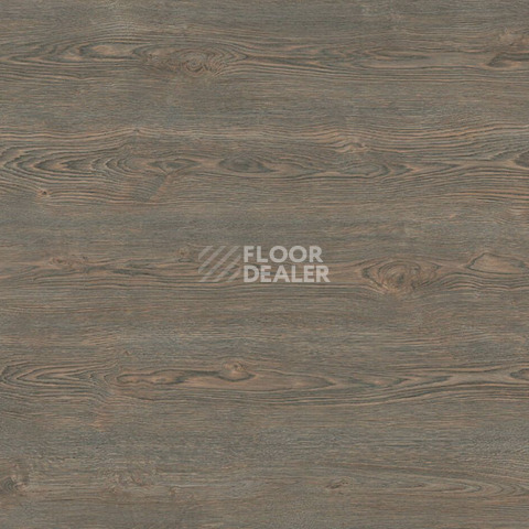 Kronotex Exquisit Plus d40532 Дуб Рубин Платиновый фото 3 | FLOORDEALER