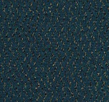 Ковролин Desso Champion 8431 фото 1 | FLOORDEALER