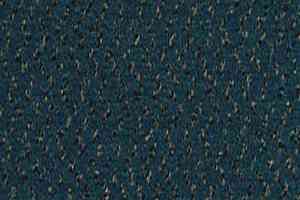 Ковролин Desso Champion 8431 фото  | FLOORDEALER