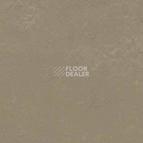 Кварцвиниловые полы Forbo Marmoleum Modular Shade 3721 фото 1 | FLOORDEALER
